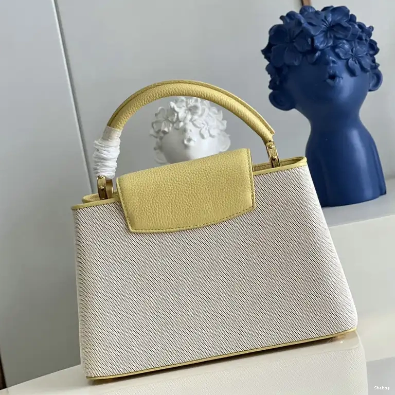 2207YA0088 Bag LV 0810